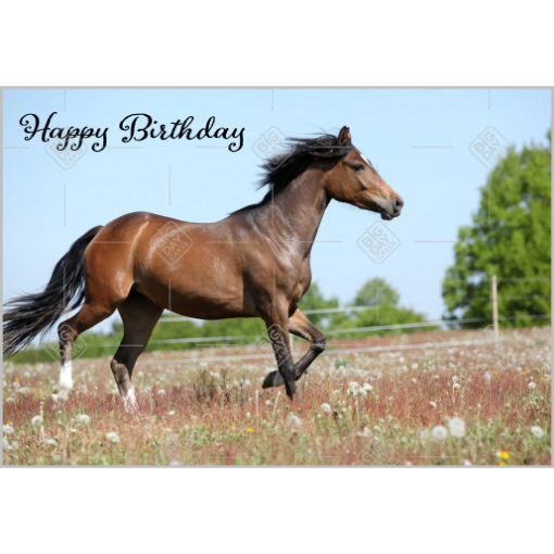 Happy birthday pony topper - landscape