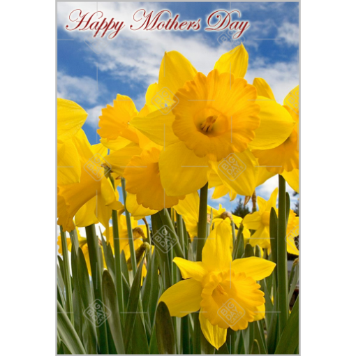 Mothers Day daffodils topper - portrait